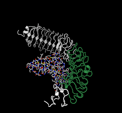SynPharm ligand receptor complex